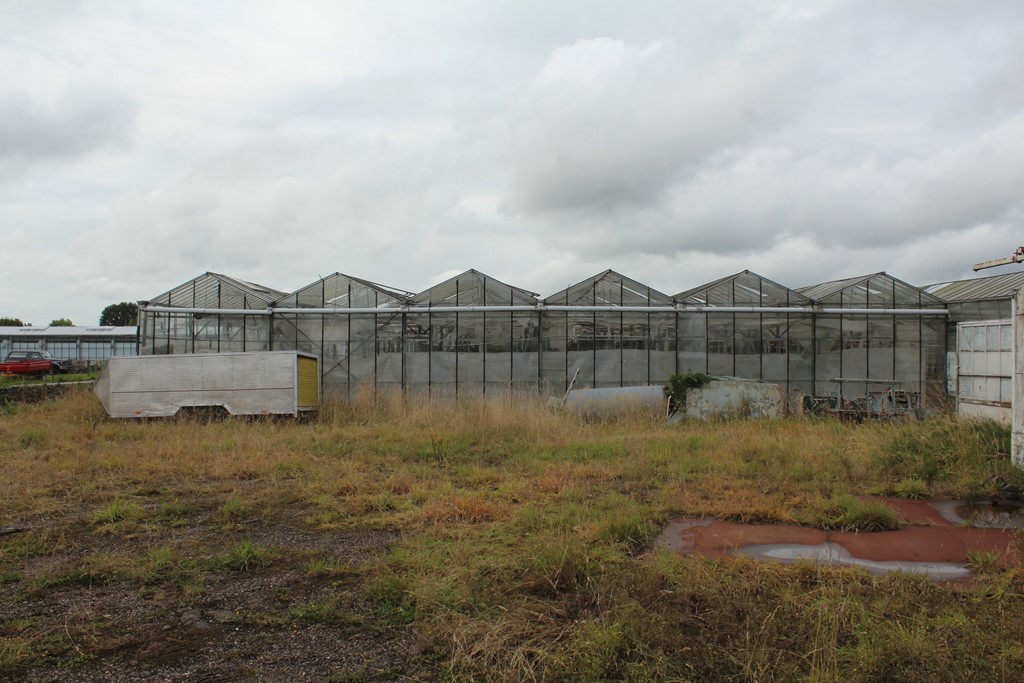 Kas Sappemeer foto 6.JPG